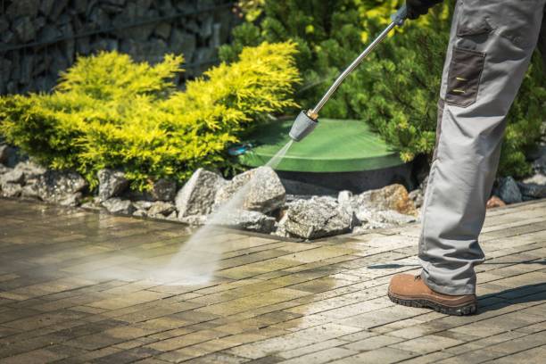 Best Spring Cleaning  in Dunbar, SC