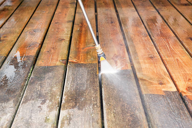 Best Dumpster Area Cleaning  in Dunbar, SC